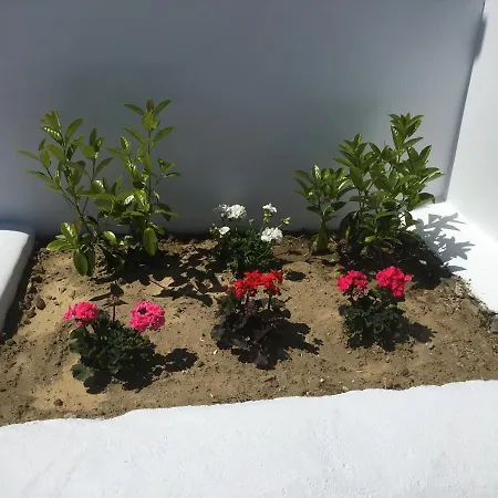 Boussetil Appartement *