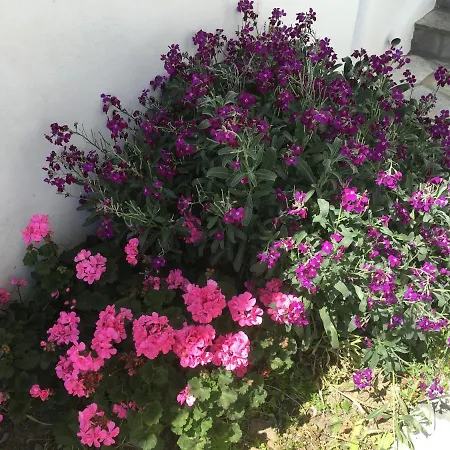 Appartement Boussetil Tínos