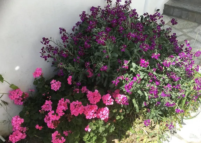 Apartman Boussetil Tínos